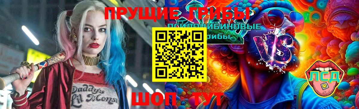 Псилоцибиновые грибы Psilocybe  Псилоцибиновые грибы MAGIC MUSHROOMS  Вход с VPN  Клинцы 